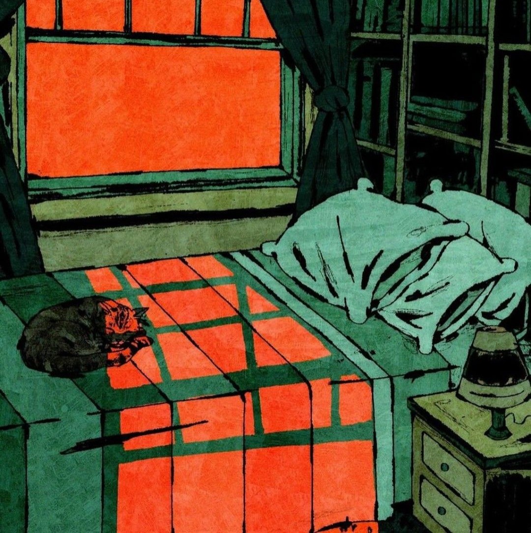 natural light draped over a bed and sleeping cat